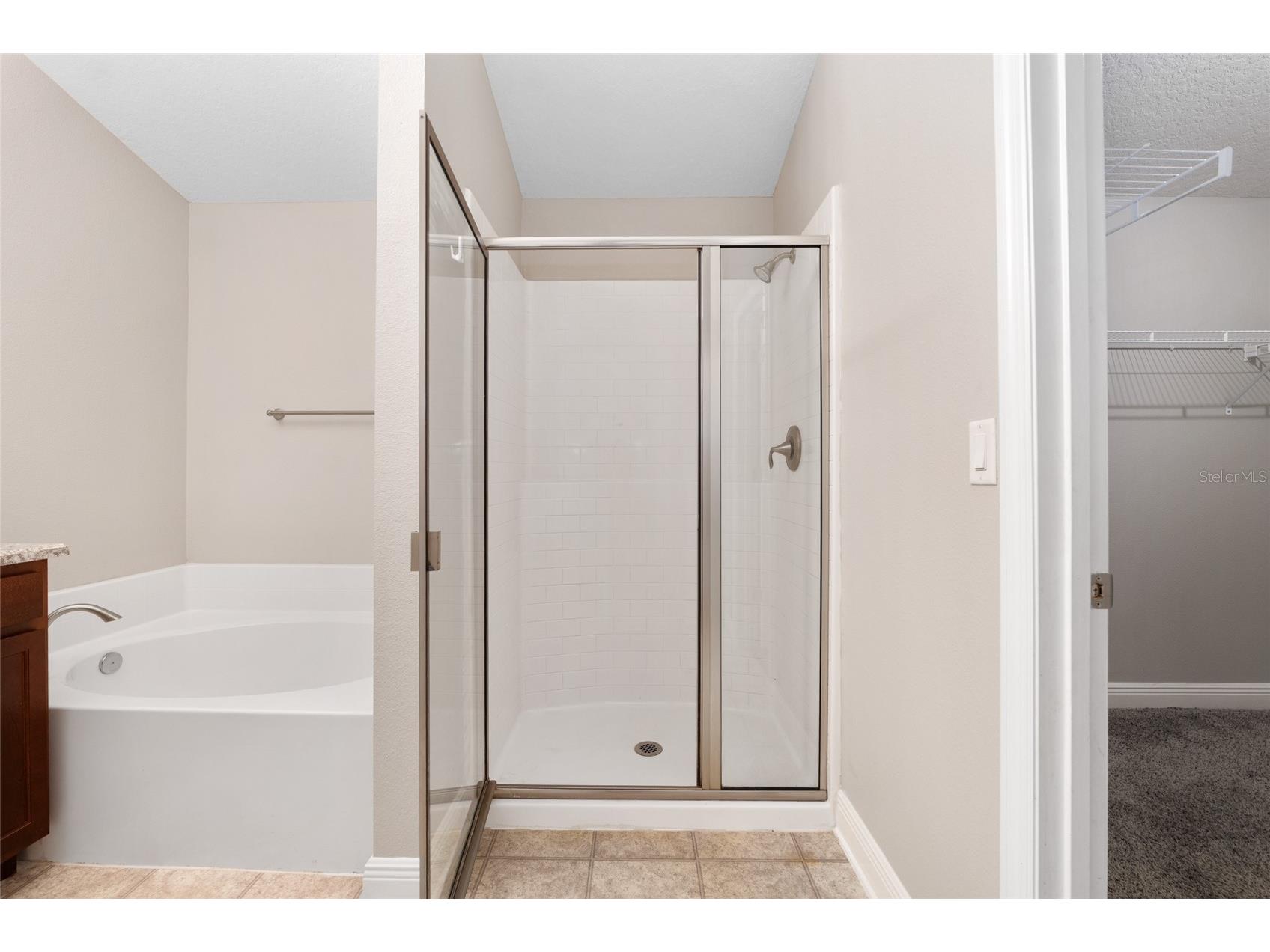 806 Chelsea Avenue Fruitland Park FL 34731 G5109630 image34