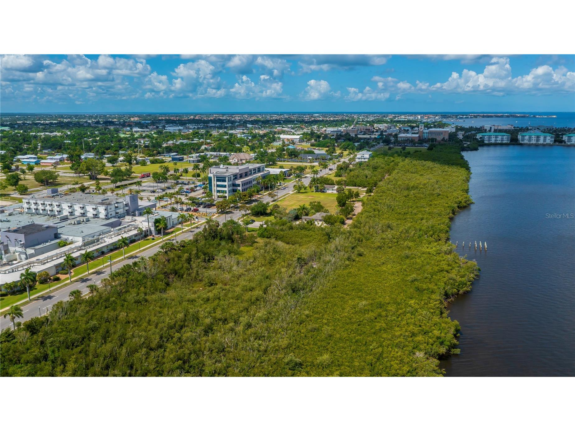 806 E Marion Avenue Punta Gorda FL 33950 C7526697 image8