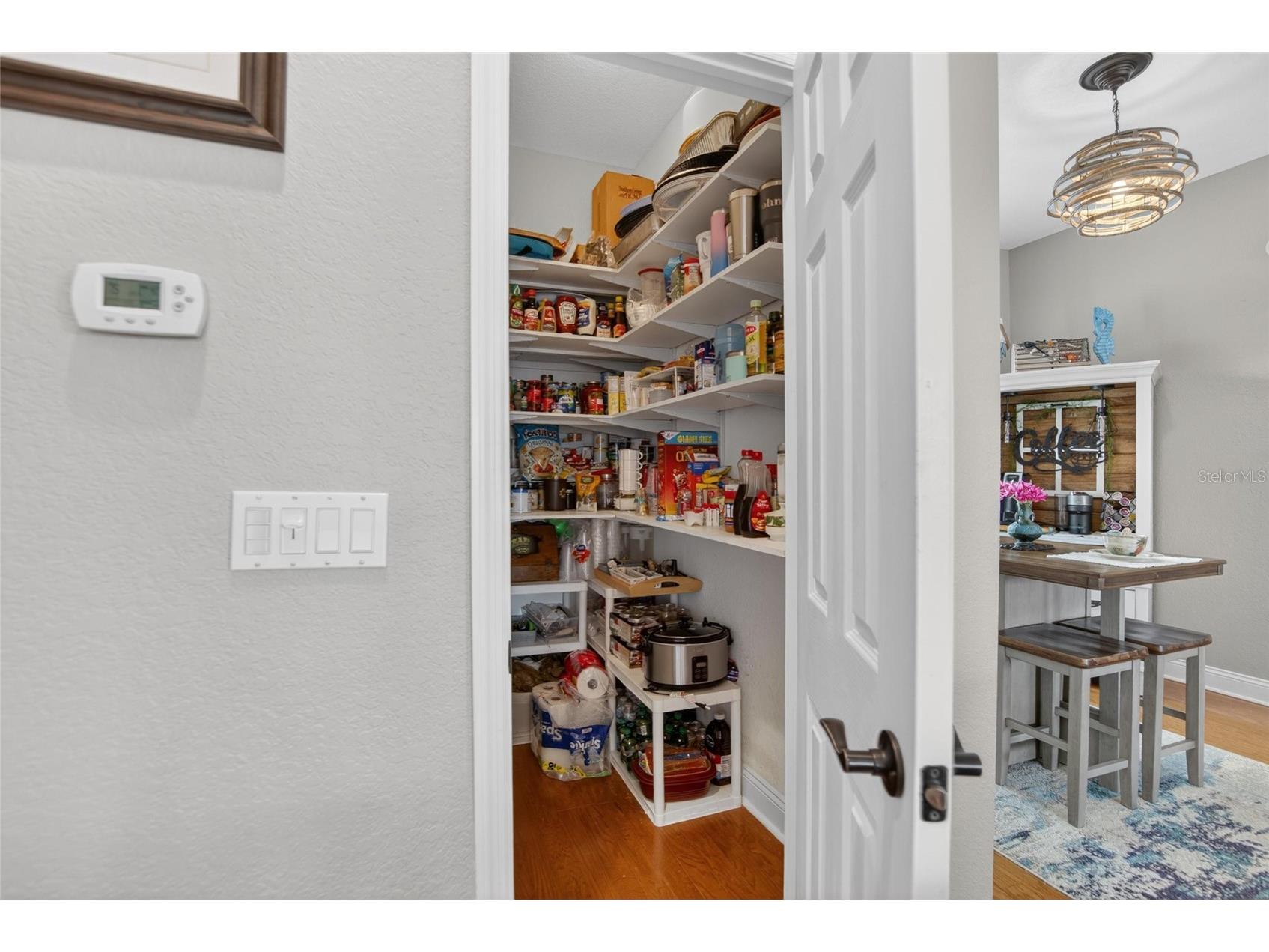 806 Eagle Lane Apollo Beach FL 33572 - ST. ANDREWS CANAL TB8502733 image22