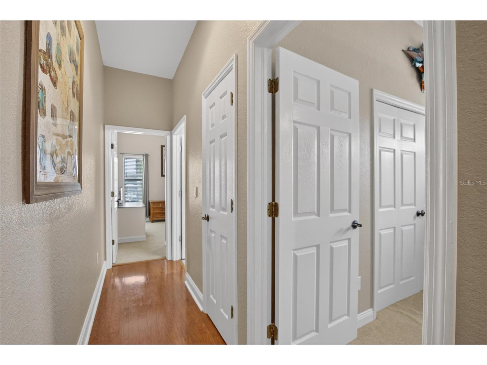 806 Eagle Lane Apollo Beach FL 33572 - ST. ANDREWS CANAL TB8502733 image42