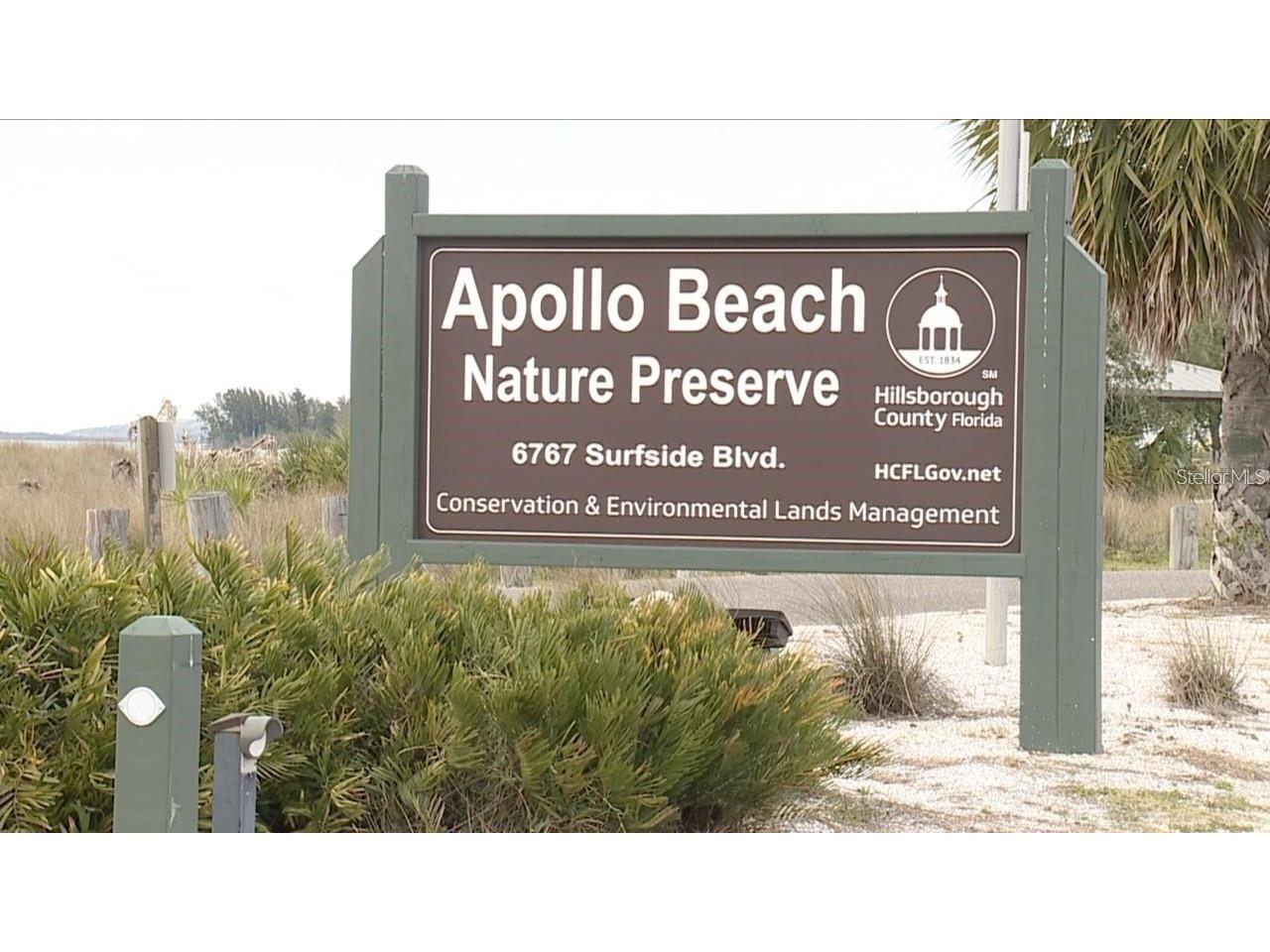 806 Eagle Lane Apollo Beach FL 33572 - ST. ANDREWS CANAL TB8502733 image96