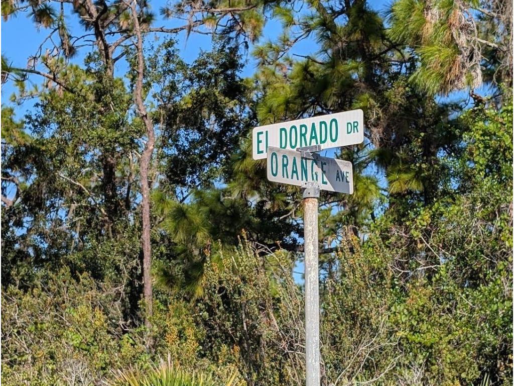 806 El Dorado Drive Indian Lake Estates FL 33855 - LAKE WALK-IN-WATER TB8438142 image1