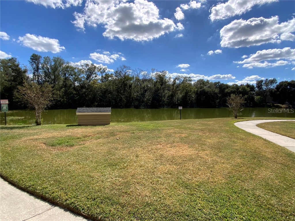 806 Lake Haven Square #102 Brandon FL 33511 TB8443594 image15