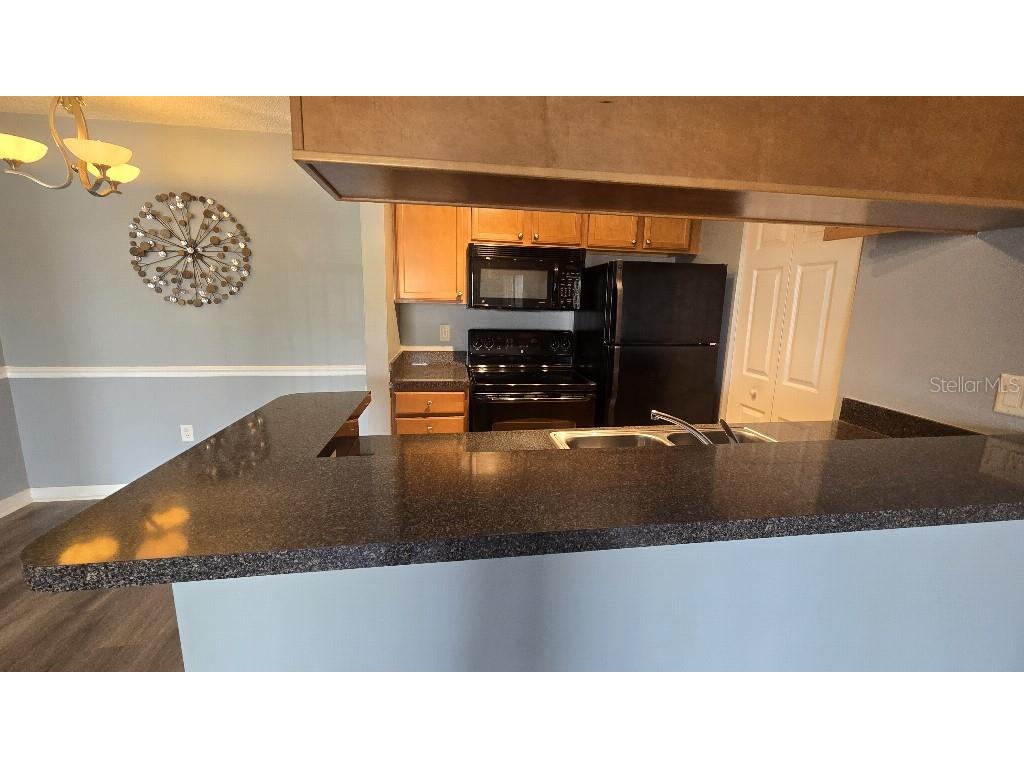 806 Lake Haven Square #203 Brandon FL 33511 TB8489691 image10