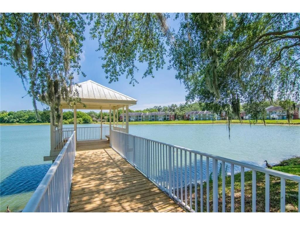 806 Lake Haven Square #203 Brandon FL 33511 TB8489691 image19