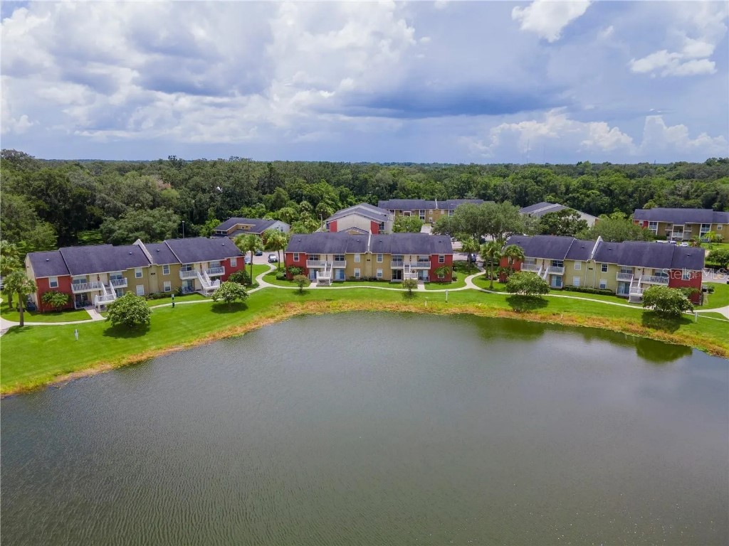 806 Lake Haven Square #203 Brandon FL 33511 TB8489691 image26