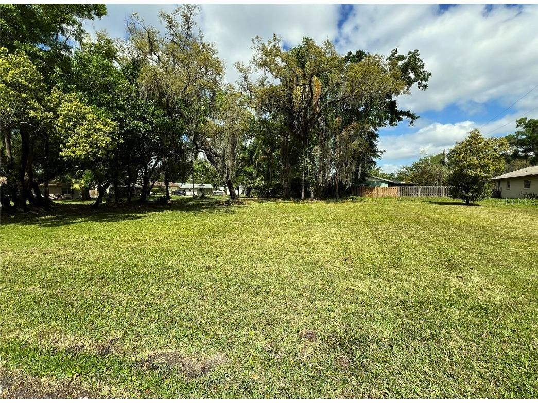 806 Lamont Place Temple Terrace FL 33617 T3513629 image1