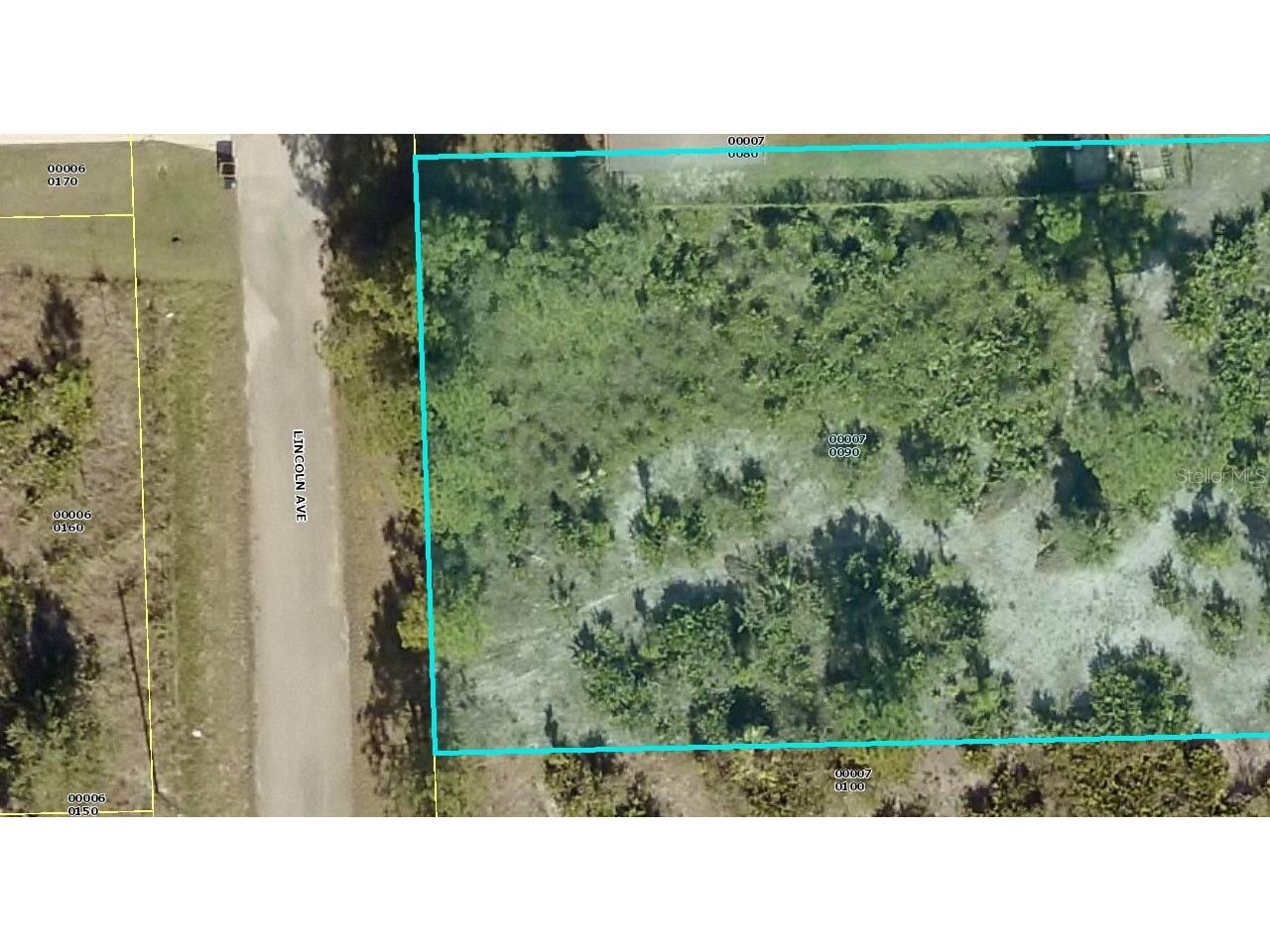 806 Lincoln Avenue Lehigh Acres FL 33972 OM636727 image1