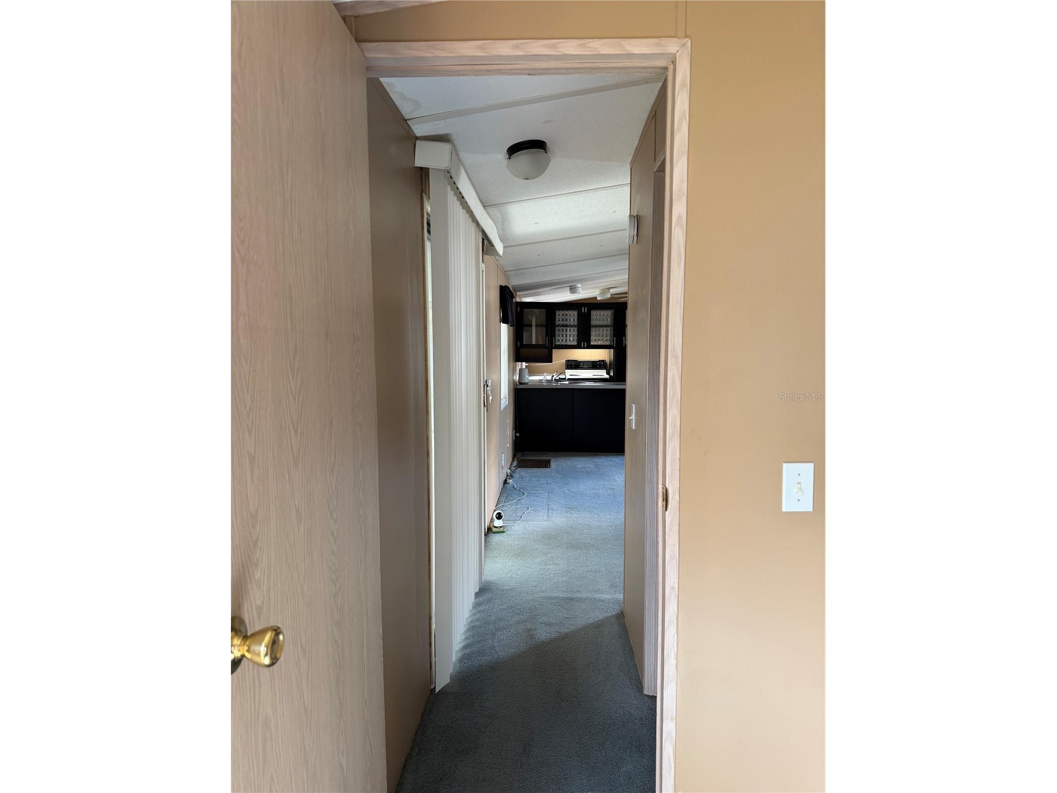806 New Hampshire Avenue Wildwood FL 34785 OM724754 image15