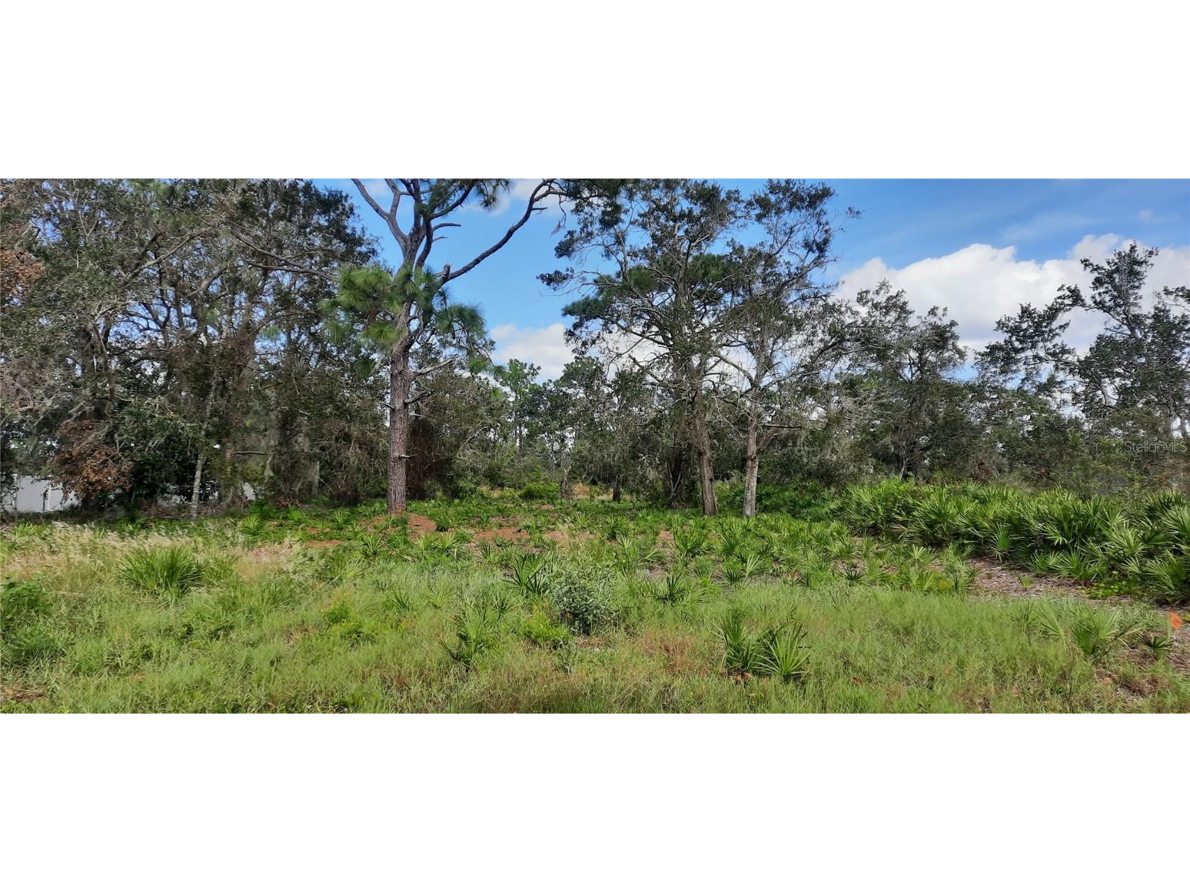 806 Park Avenue Indian Lake Estates FL 33855 - LAKE WALK-IN-WATER TB8311834 image1