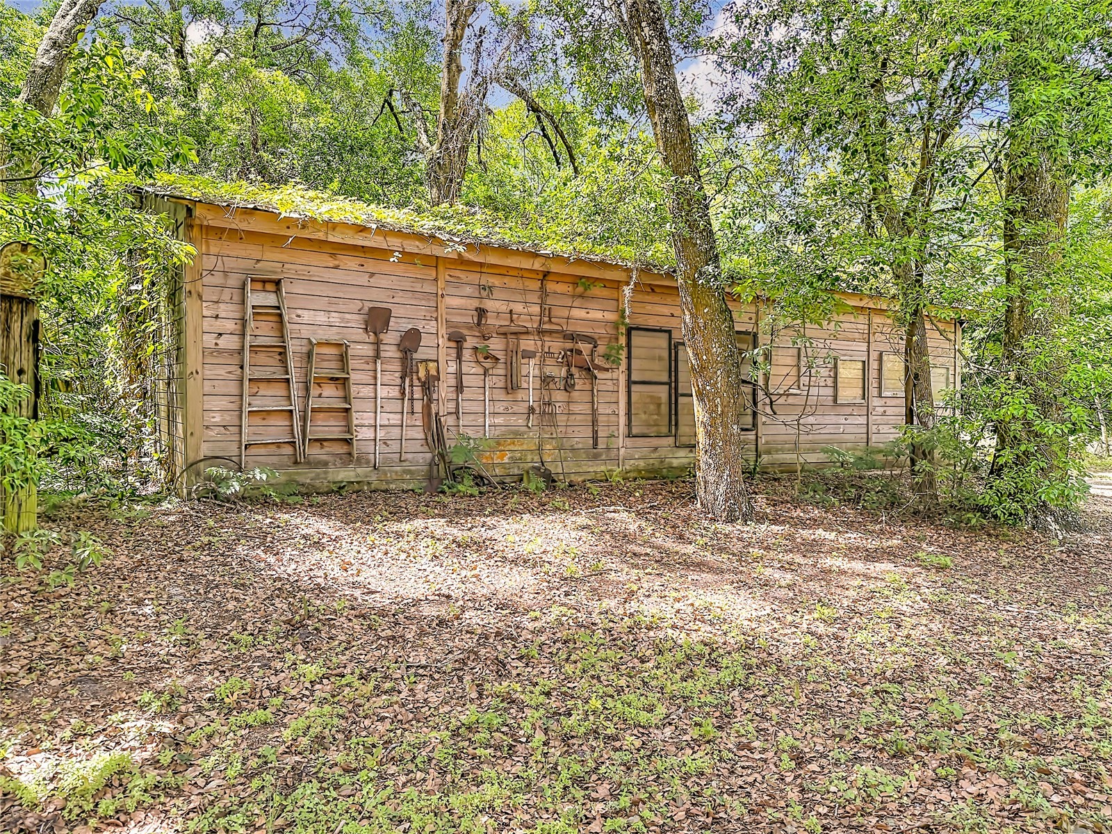 806 S Lake Pleasant Road Apopka FL 32703 O6406804 image11