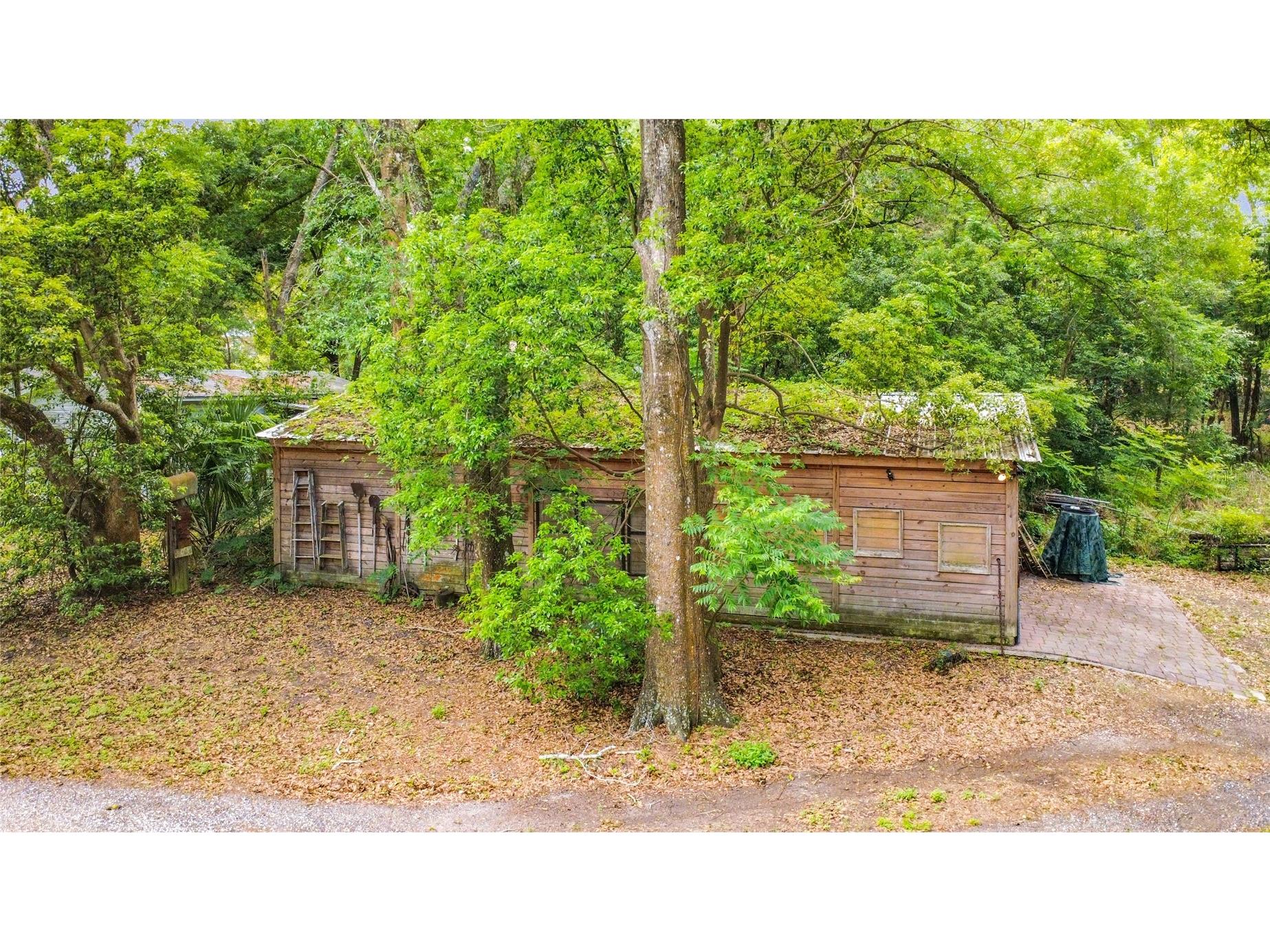 806 S Lake Pleasant Road Apopka FL 32703 O6406804 image14