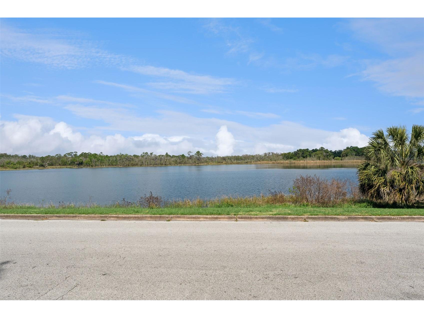 806 S Main Avenue Groveland FL 34736 O6394542 image3