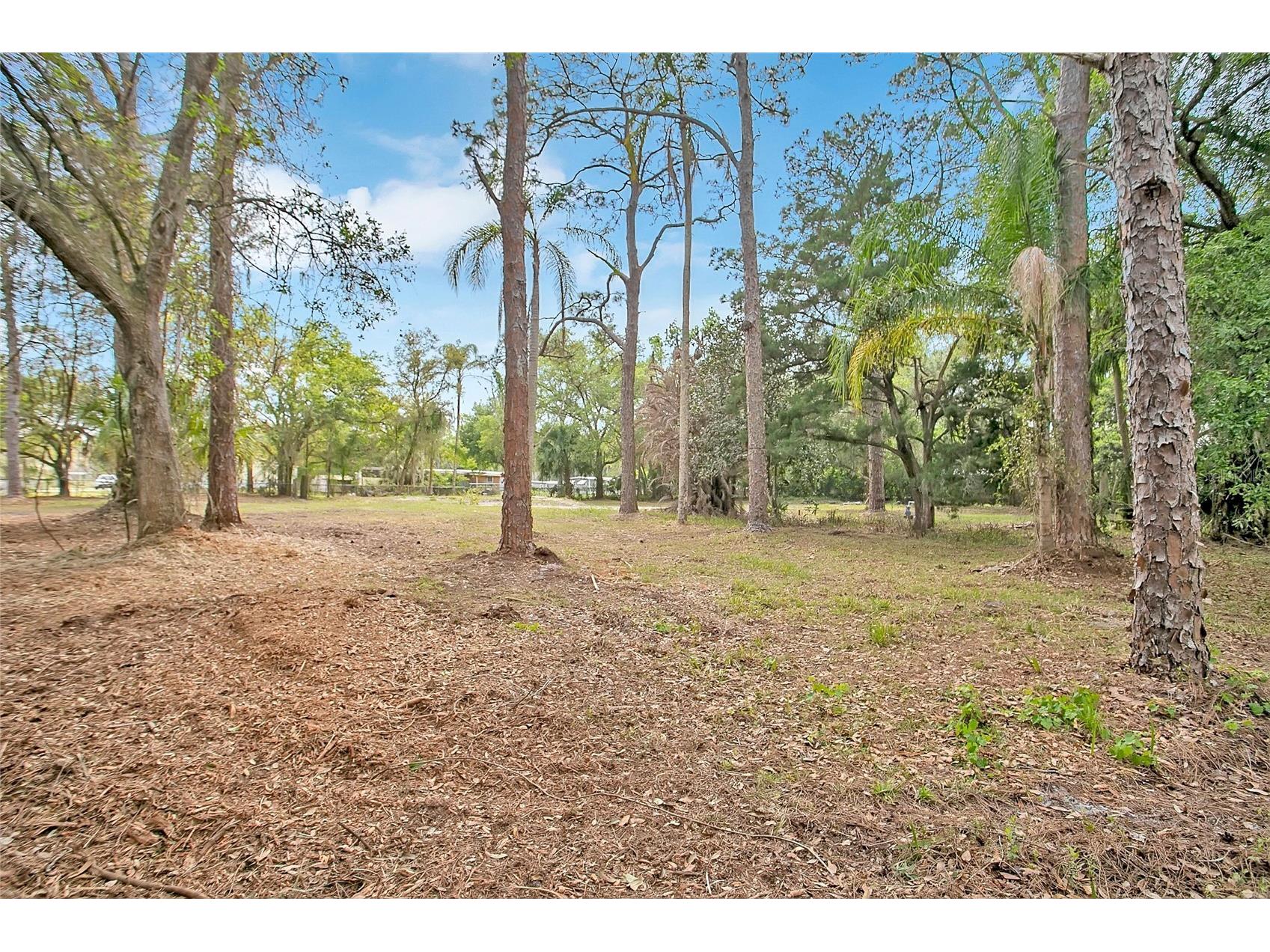 806 Saint Nicholas Avenue Christmas FL 32709 S5146623 image1
