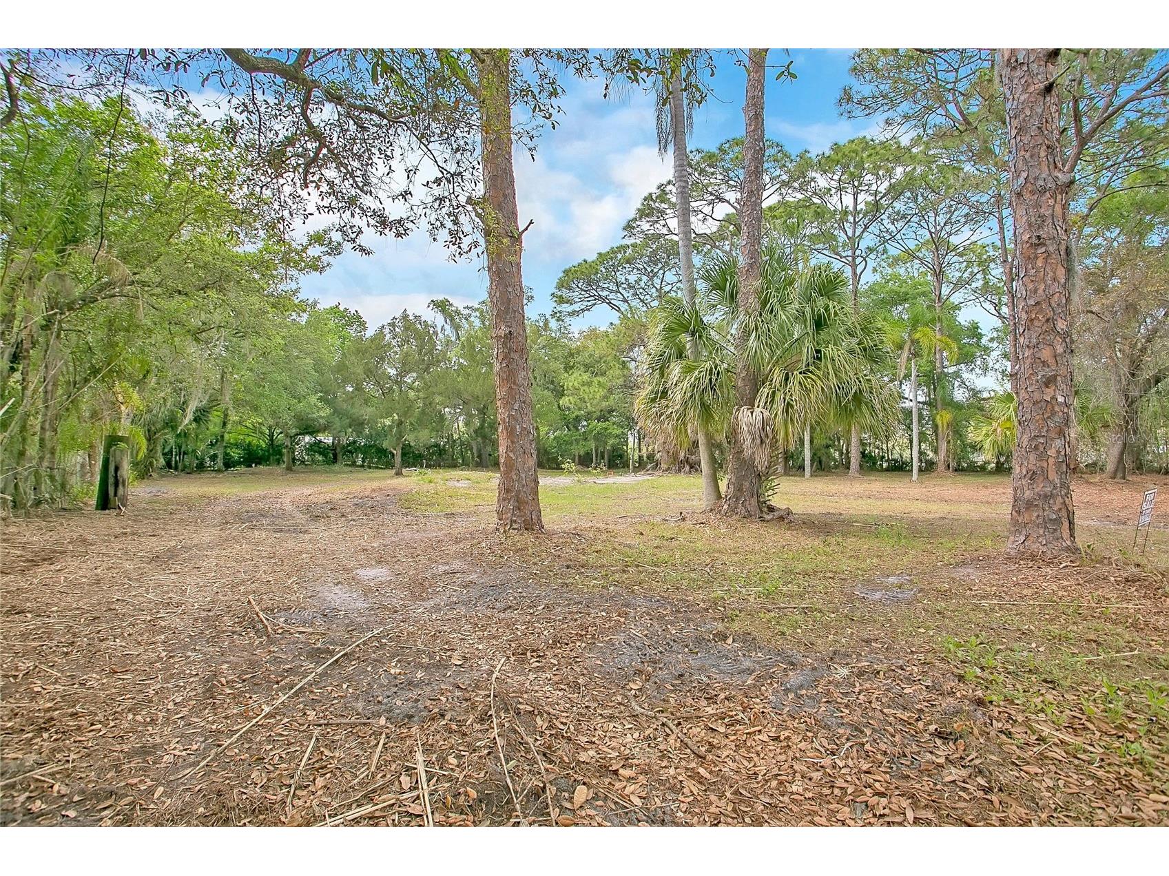 806 Saint Nicholas Avenue Christmas FL 32709 S5146623 image12