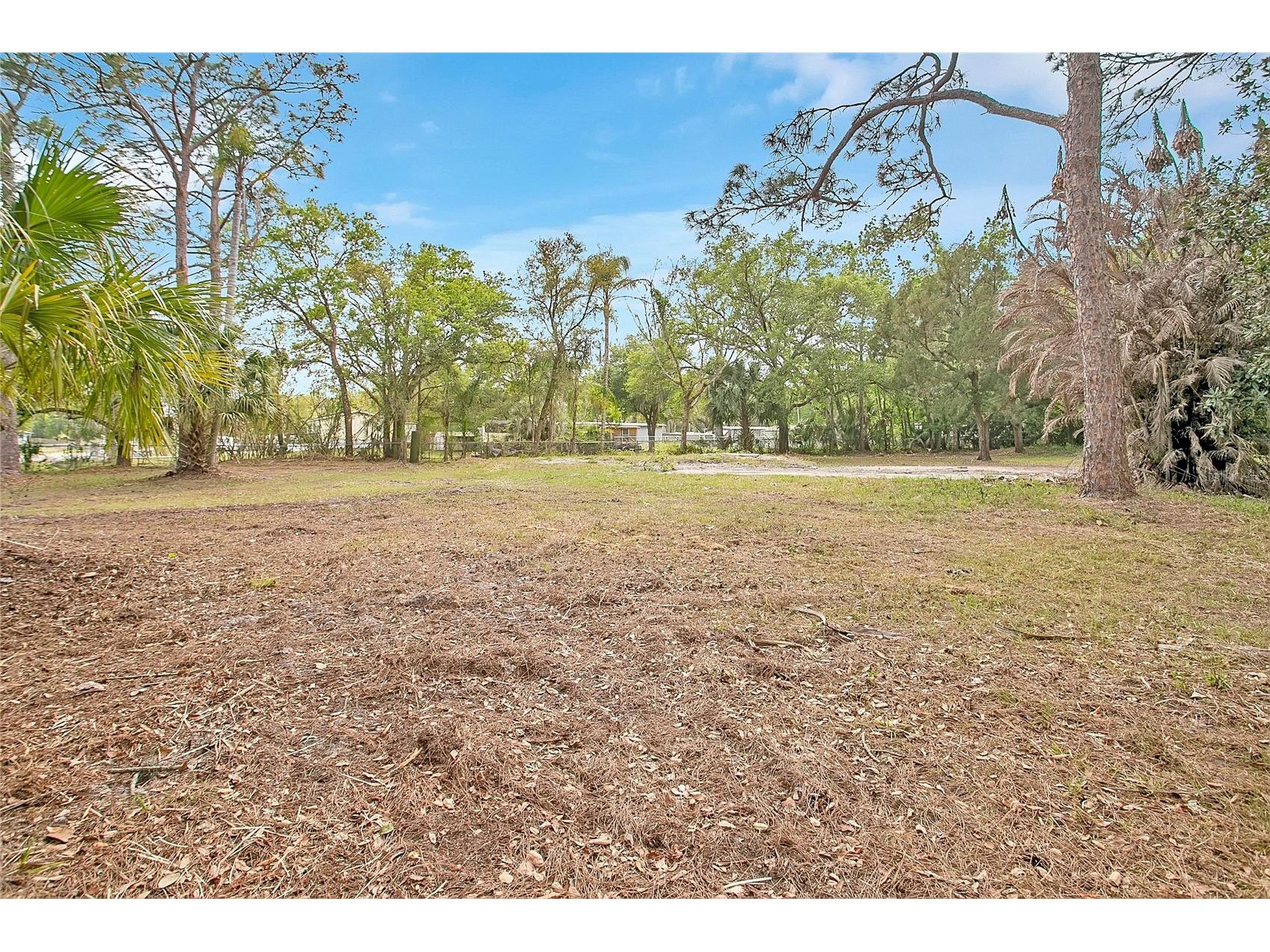806 Saint Nicholas Avenue Christmas FL 32709 S5146623 image2