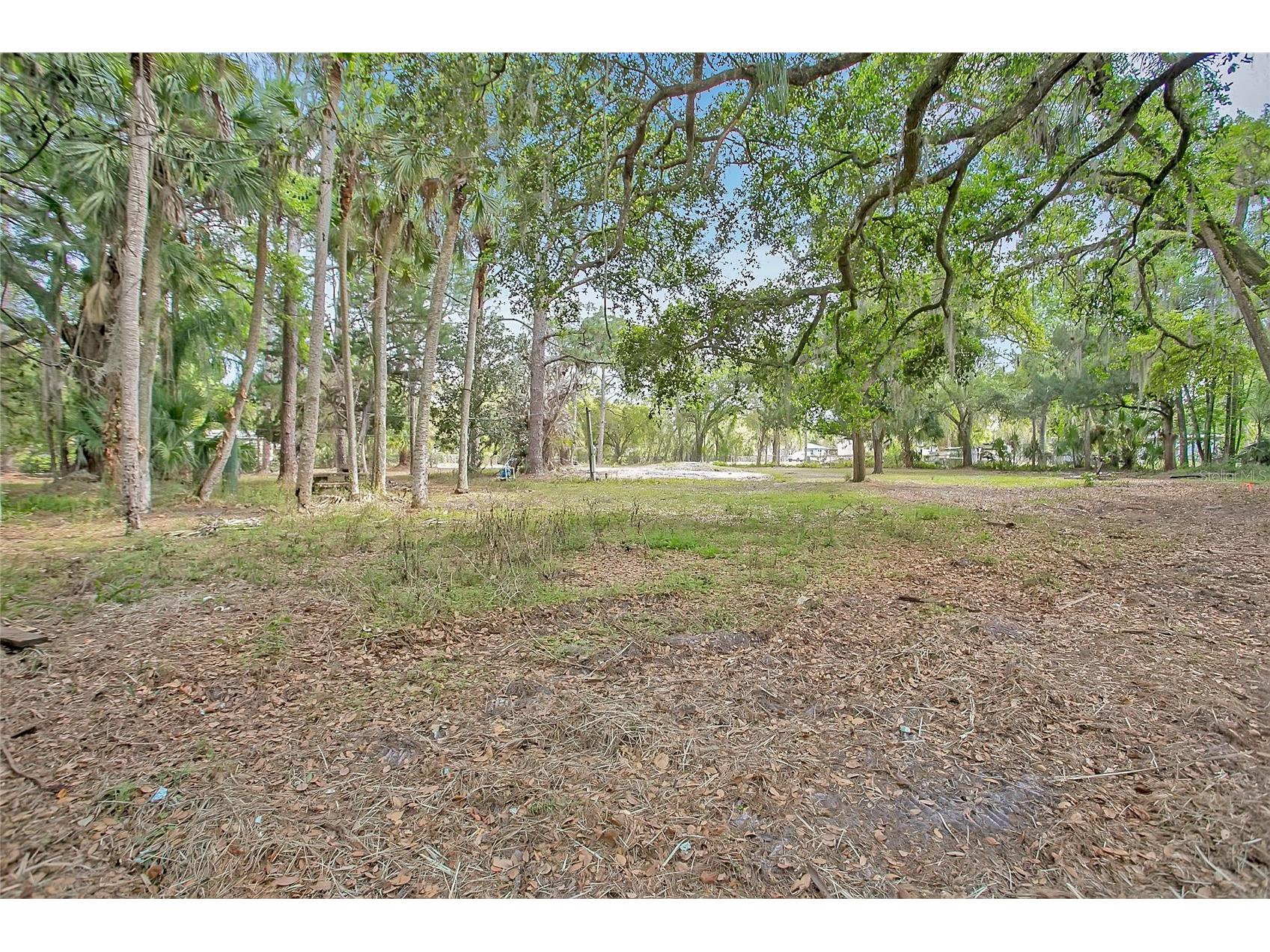 806 Saint Nicholas Avenue Christmas FL 32709 S5146623 image3
