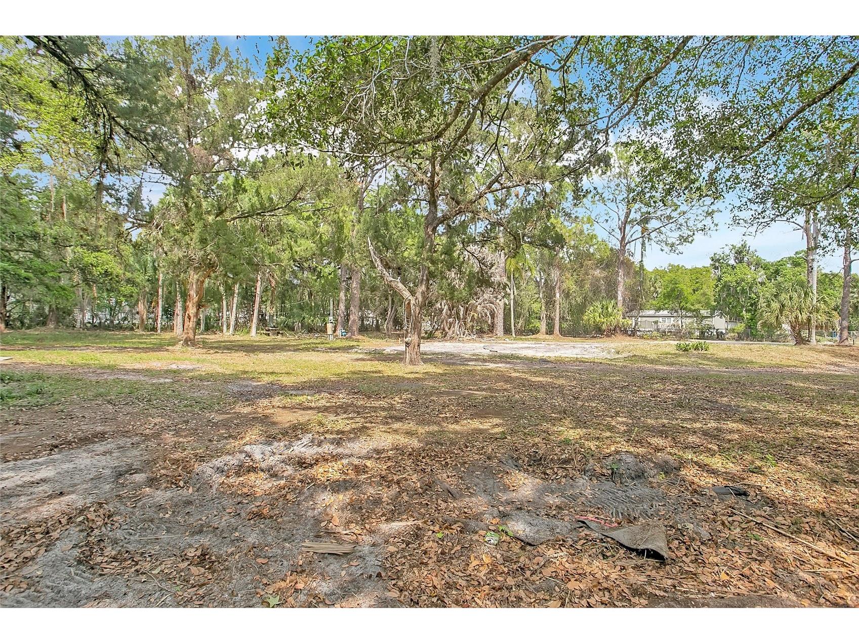 806 Saint Nicholas Avenue Christmas FL 32709 S5146623 image7
