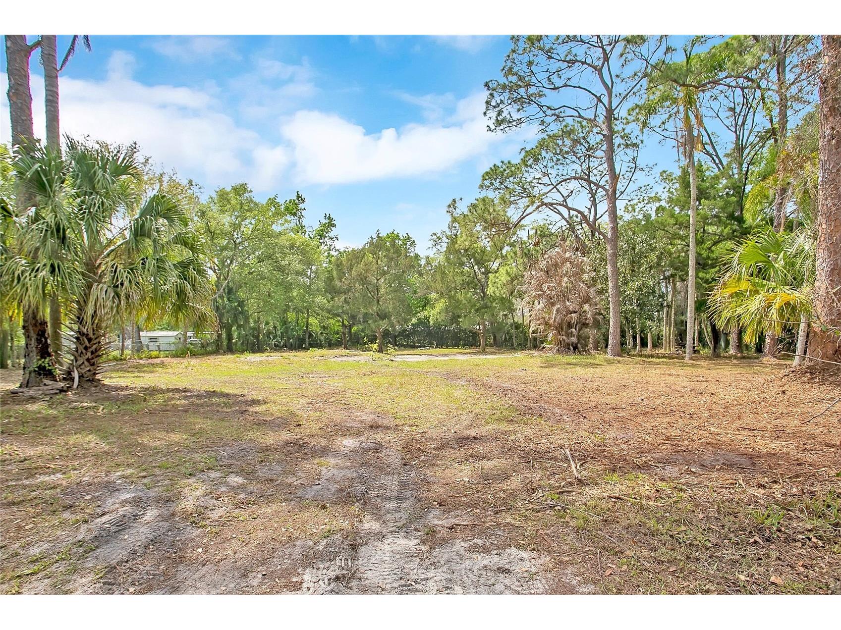 806 Saint Nicholas Avenue Christmas FL 32709 S5146623 image9