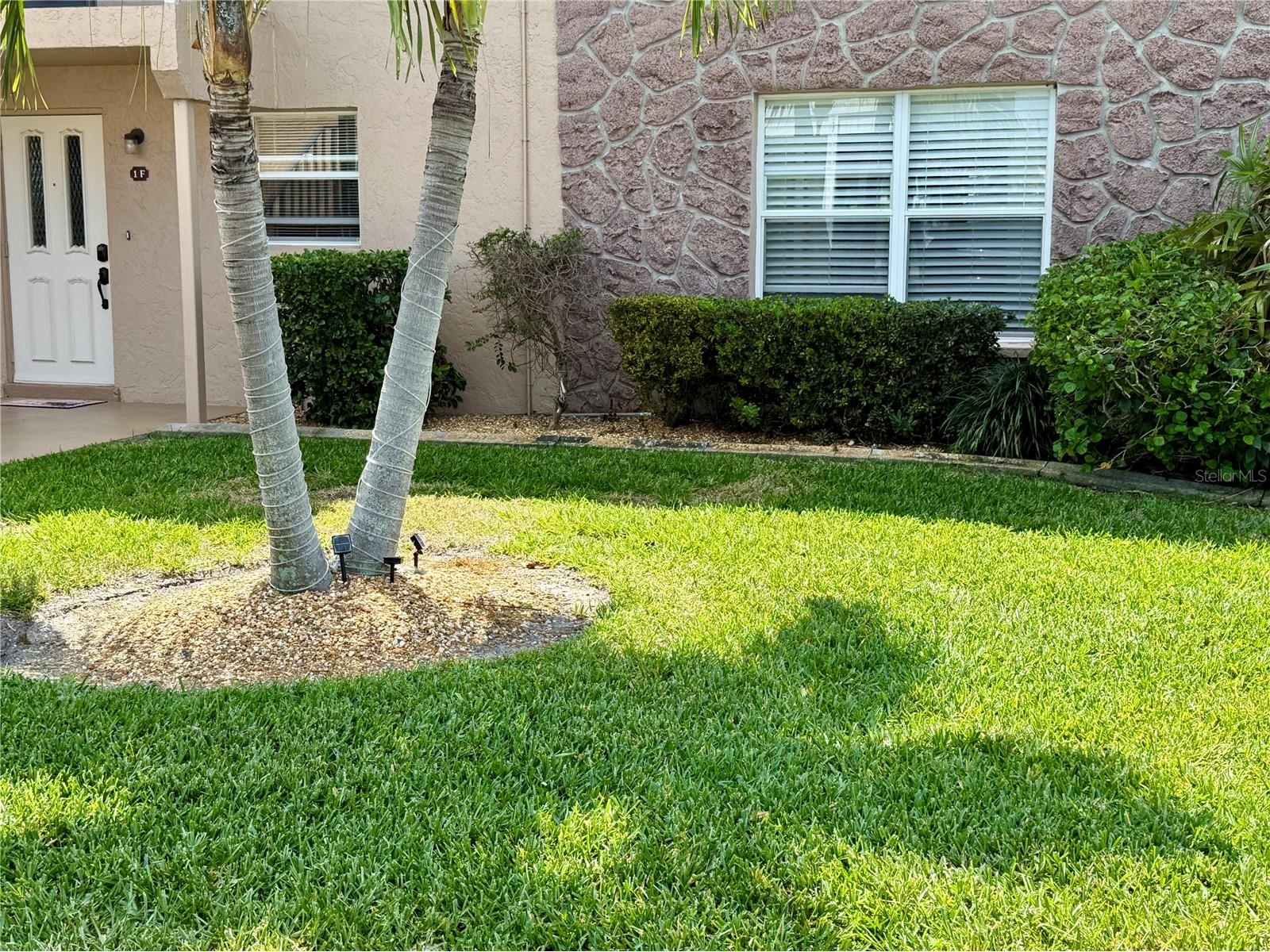 806 SE 46th Street #1F Cape Coral FL 33904 C7523944 image1
