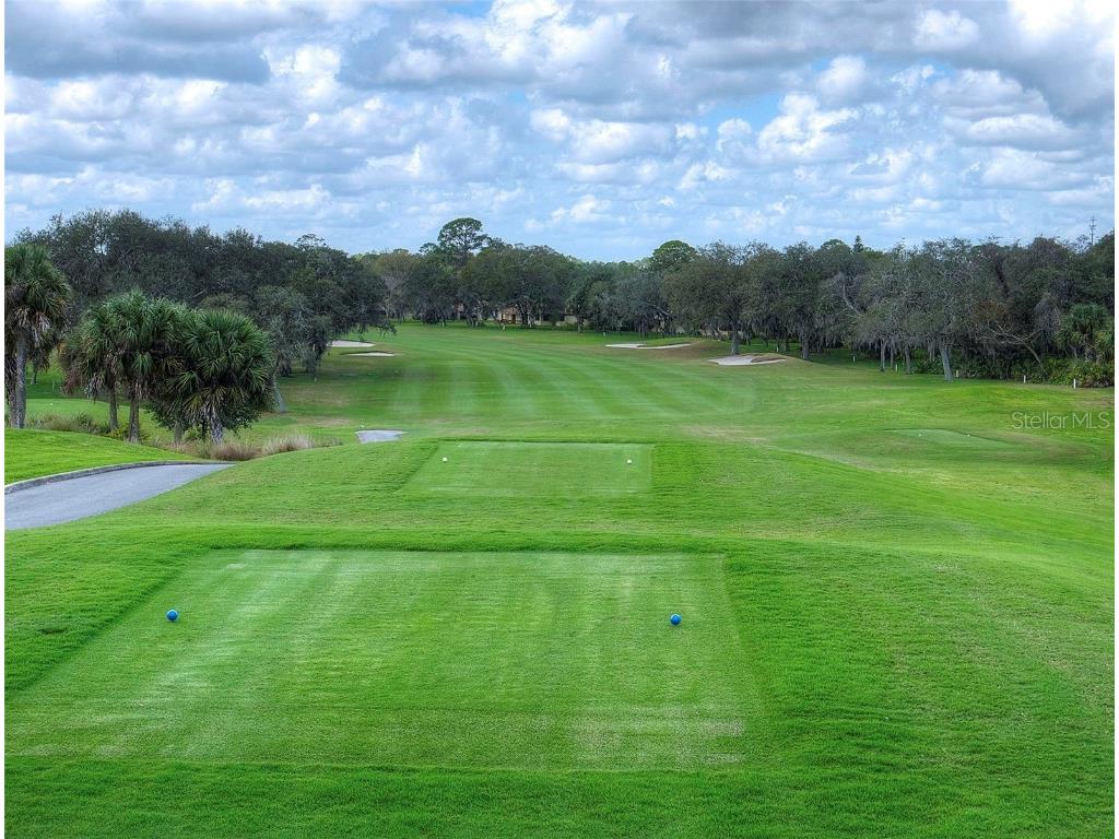 806 Silk Oak Court New Smyrna Beach FL 32168 NS1086057 image50