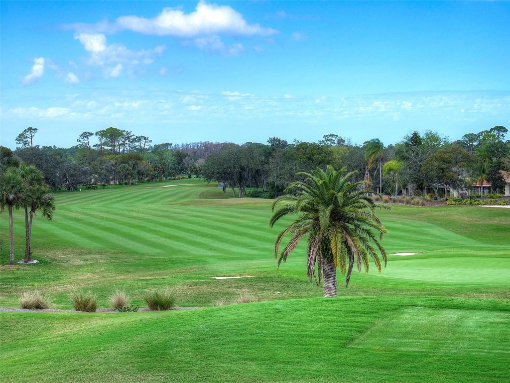 806 Silk Oak Court New Smyrna Beach FL 32168 NS1086057 image51