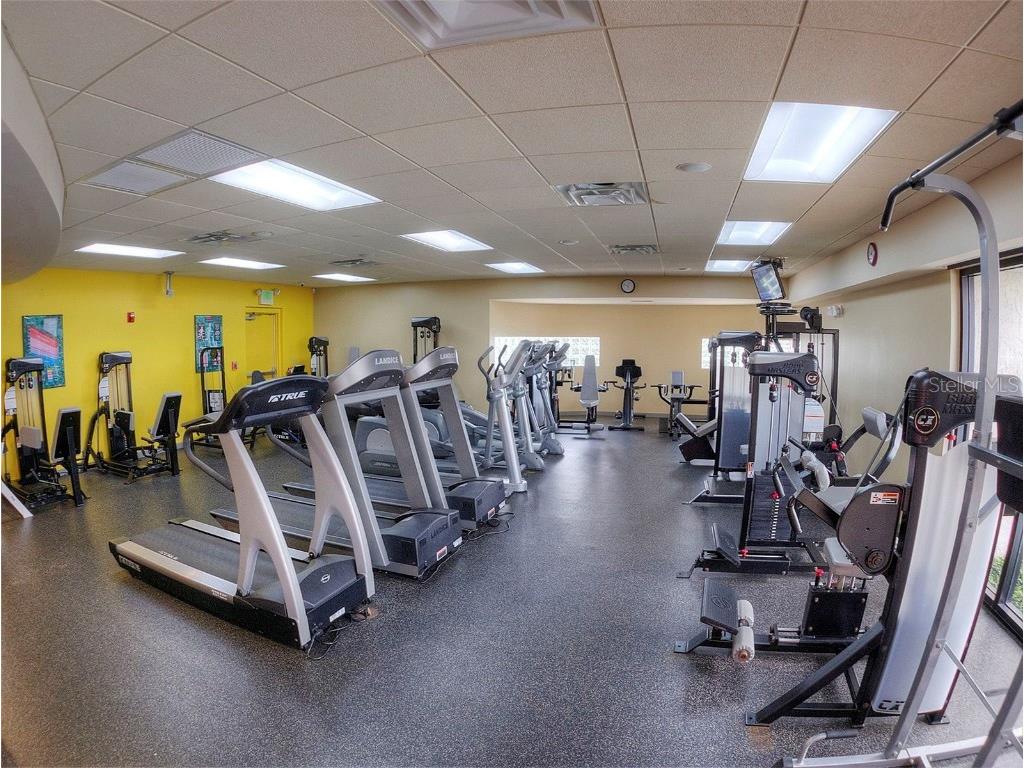 806 Silk Oak Court New Smyrna Beach FL 32168 NS1086057 image59