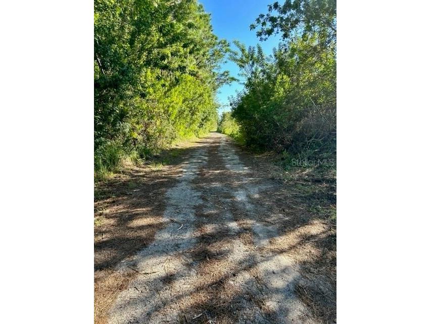 806 W Ariel Road Edgewater FL 32141 NS1087621 image10