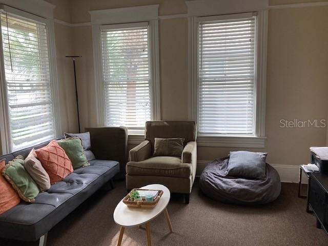 806 W De Leon Street Tampa FL 33606 T3498909 image10