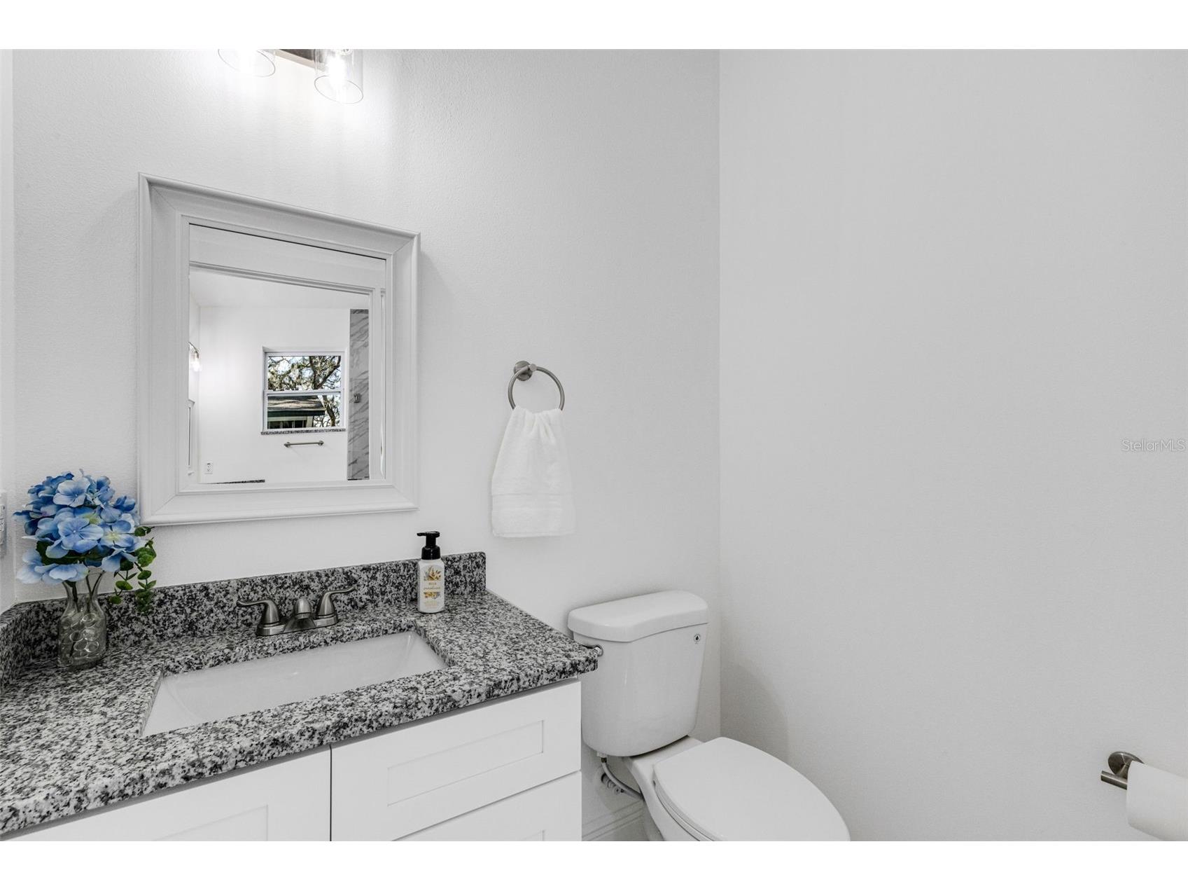 806 W Lowry Lane Tampa FL 33604 TB8505684 image33
