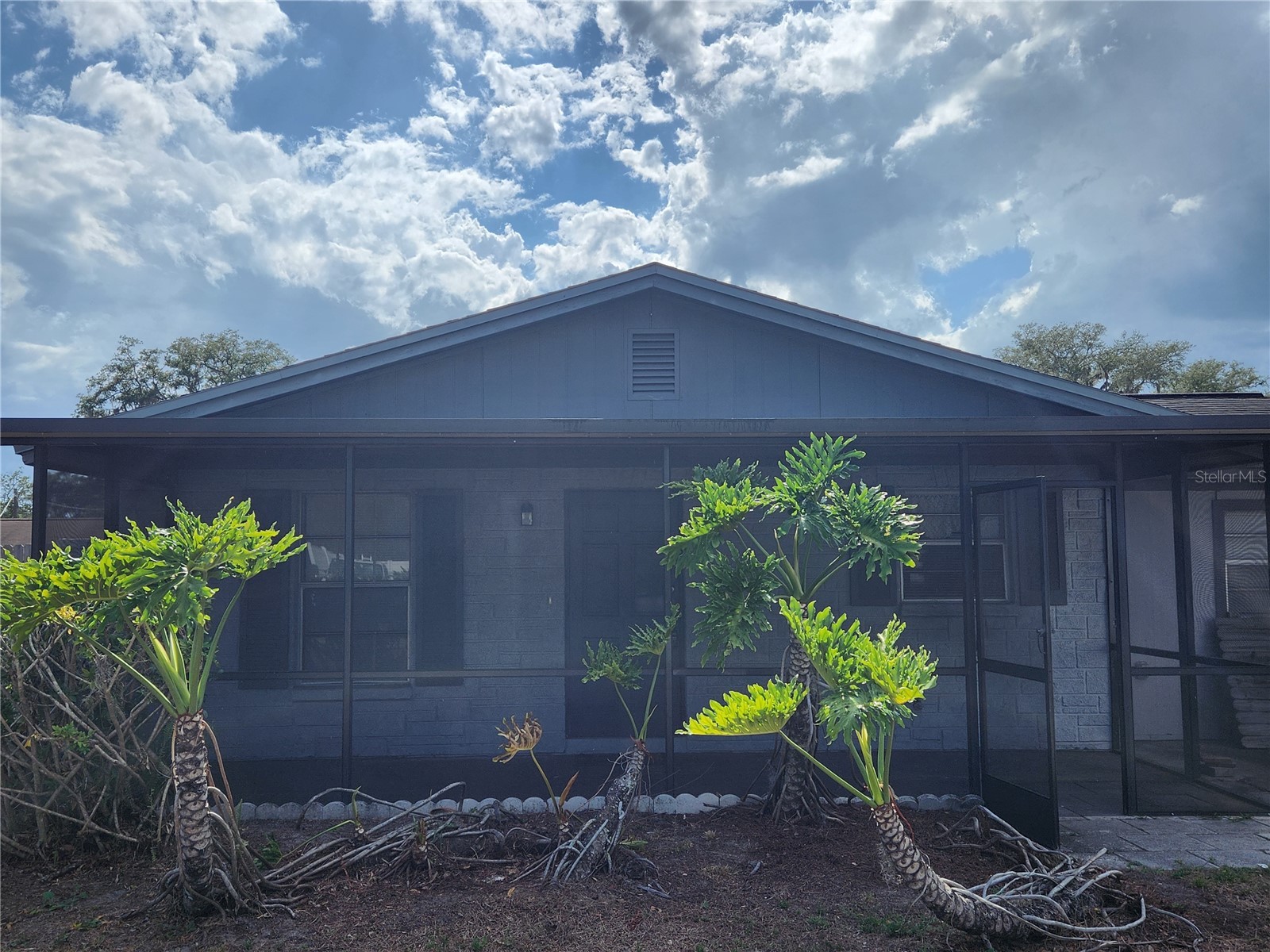 806 Walnut Drive Seffner FL 33584 TB8510712 image1