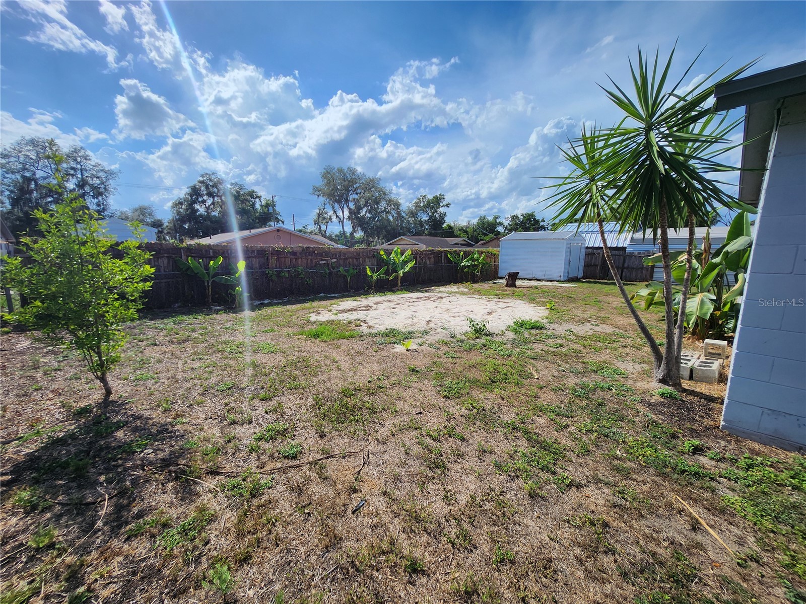 806 Walnut Drive Seffner FL 33584 TB8510712 image19