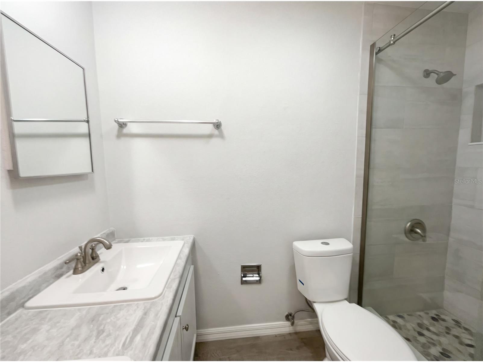 806 Wedgewood Drive Mount Dora FL 32757 O6382482 image6