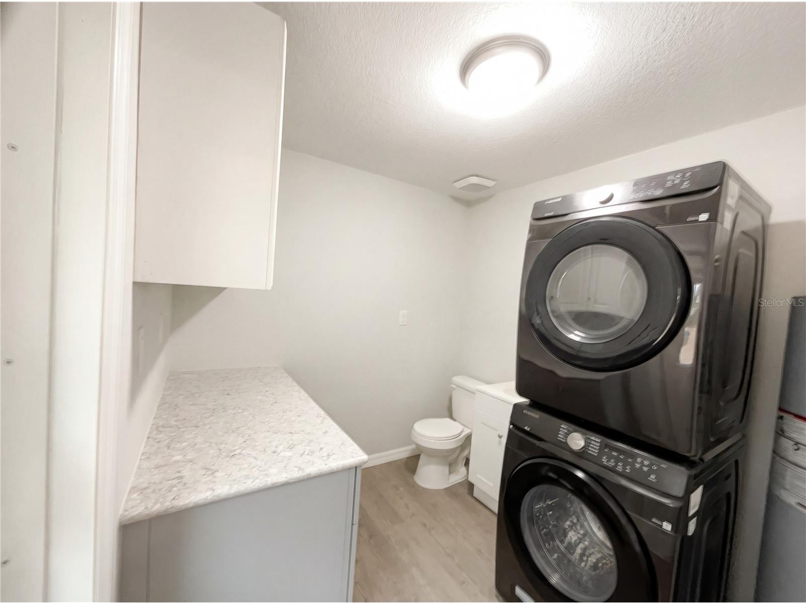 806 Wedgewood Drive Mount Dora FL 32757 O6382482 image7
