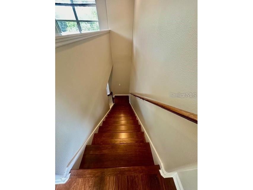 806 Winder Oaks Drive Gotha FL 34734 S5138077 image31