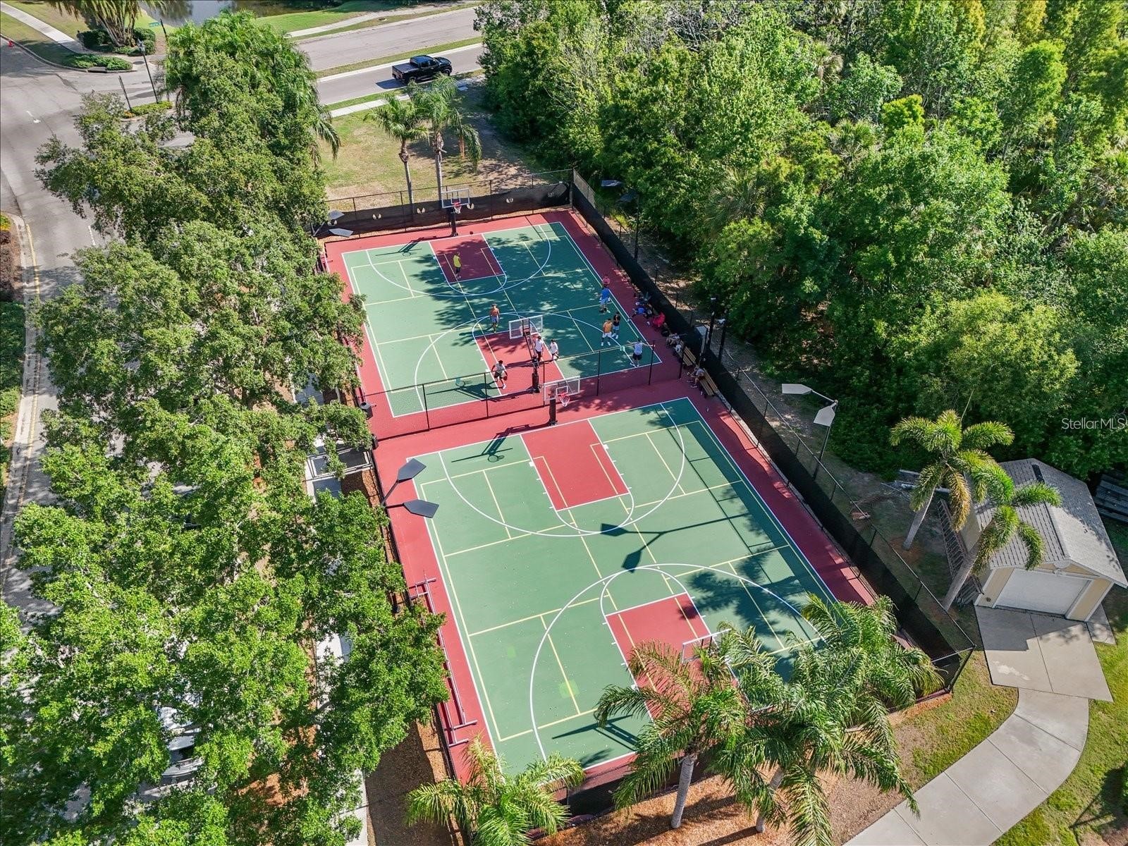 806 Winterside Drive Apollo Beach FL 33572 TB8496227 image45
