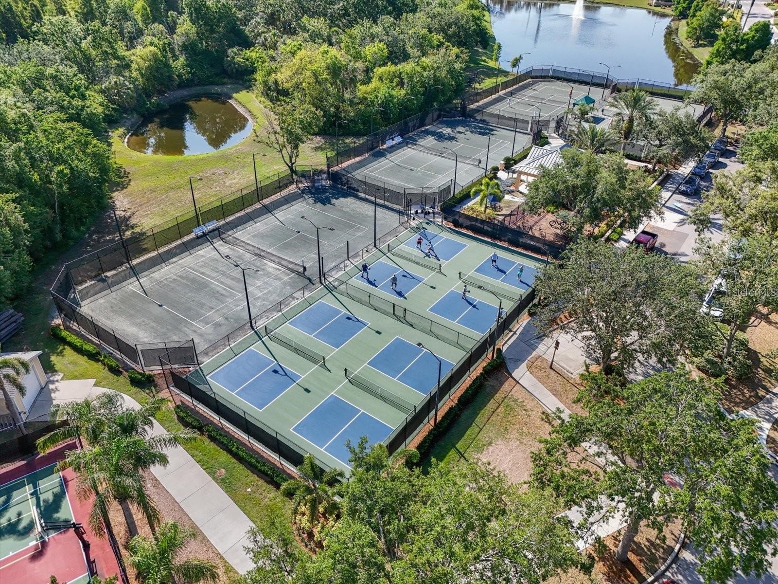 806 Winterside Drive Apollo Beach FL 33572 TB8496227 image46