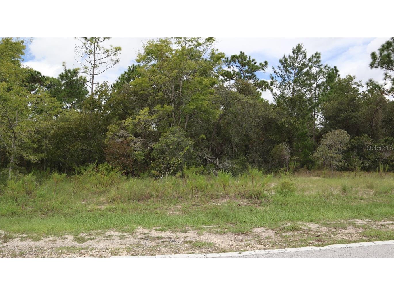 8061 Madrid Road Weeki Wachee FL 34613 W7848900 image1