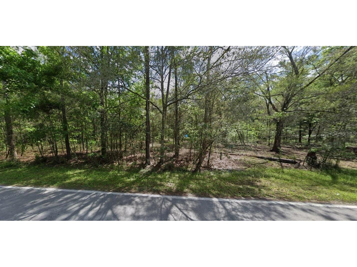 8061 Quail Hollow Boulevard Wesley Chapel FL 33544 A4672696 image2