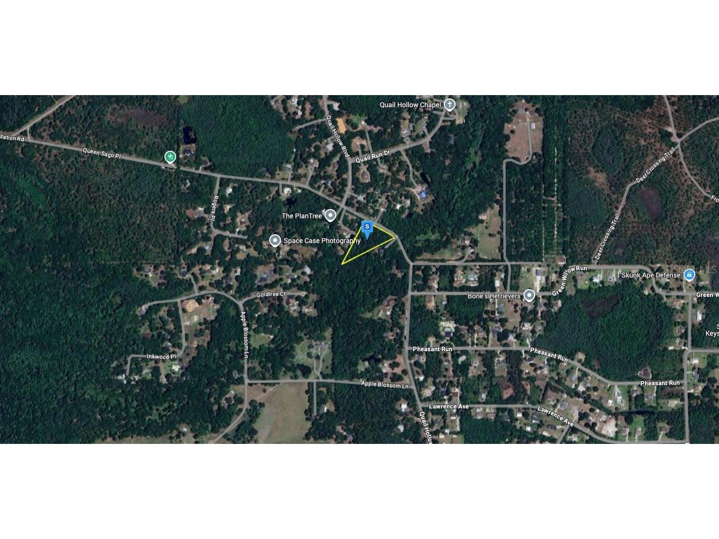 8061 Quail Hollow Boulevard Wesley Chapel FL 33544 A4672696 image3