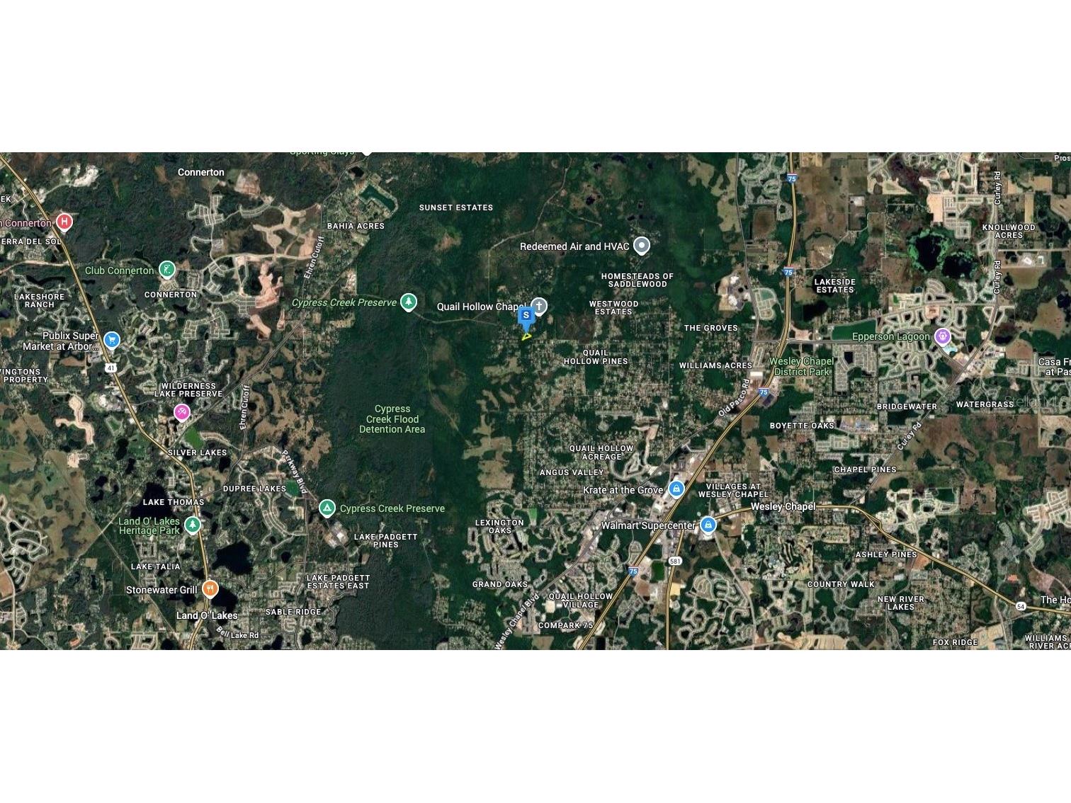 8061 Quail Hollow Boulevard Wesley Chapel FL 33544 A4672696 image4