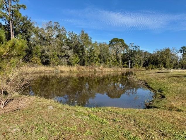 8061 Timberwood Lane Orlando FL 32825 O6372780 image21