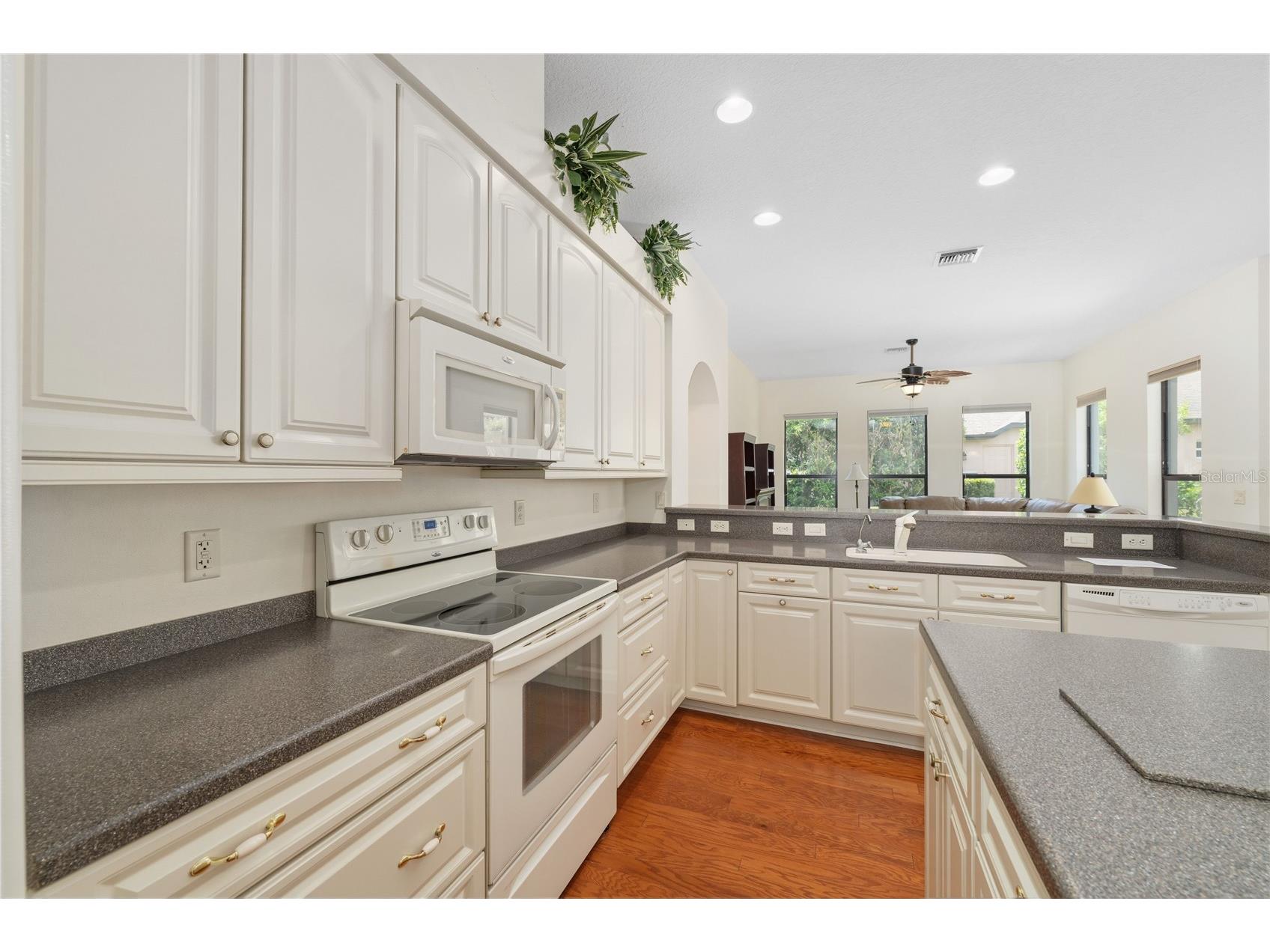 8061 Waterbury Way Mount Dora FL 32757 G5111288 image15