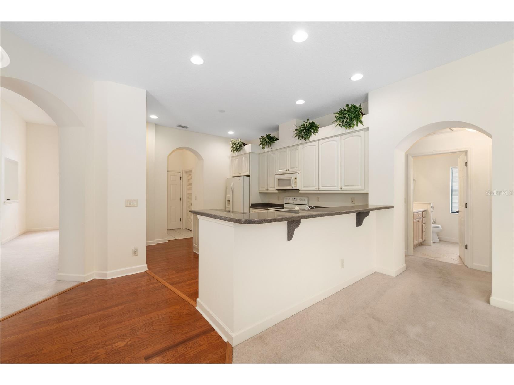 8061 Waterbury Way Mount Dora FL 32757 G5111288 image19