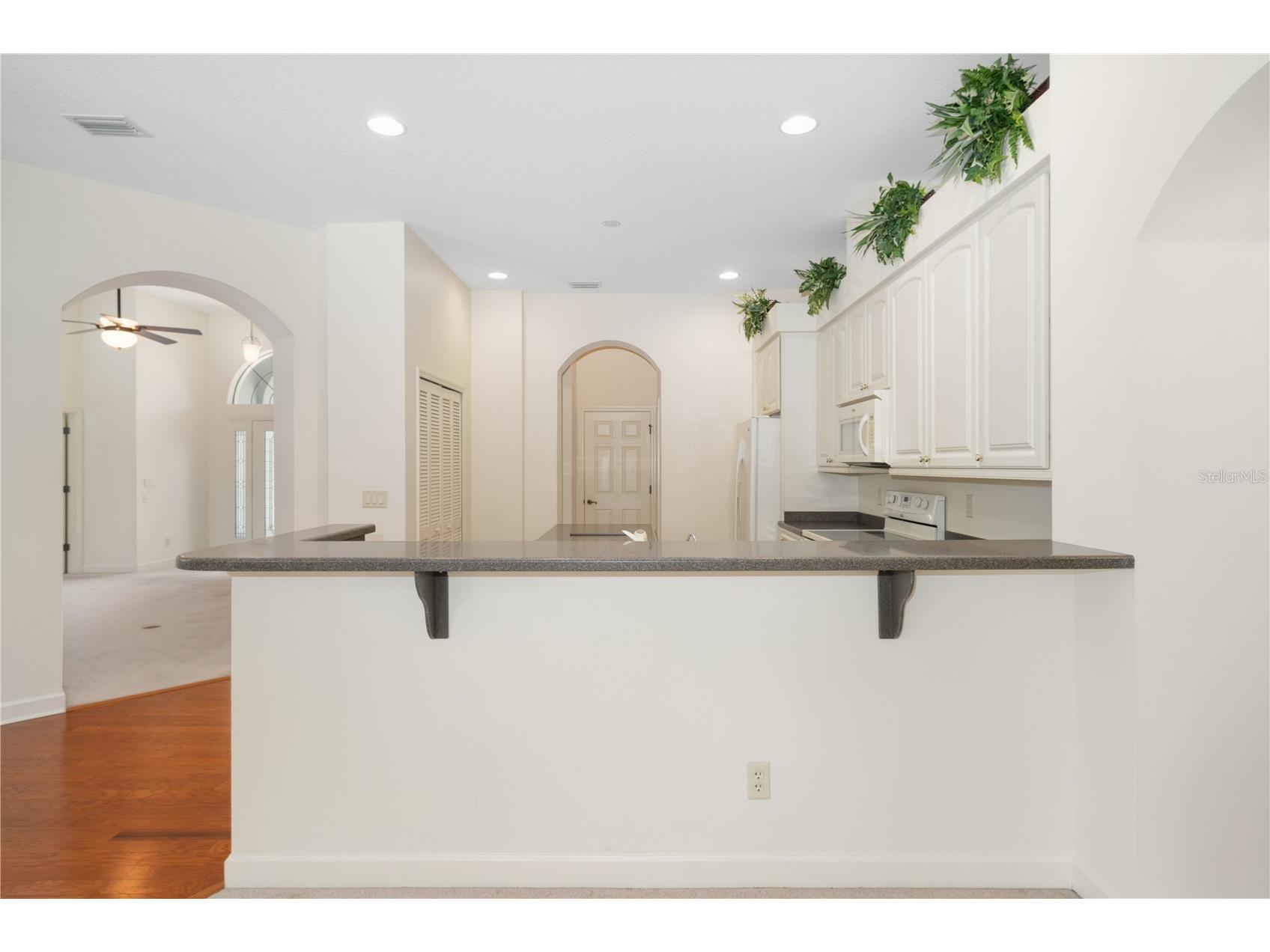 8061 Waterbury Way Mount Dora FL 32757 G5111288 image20