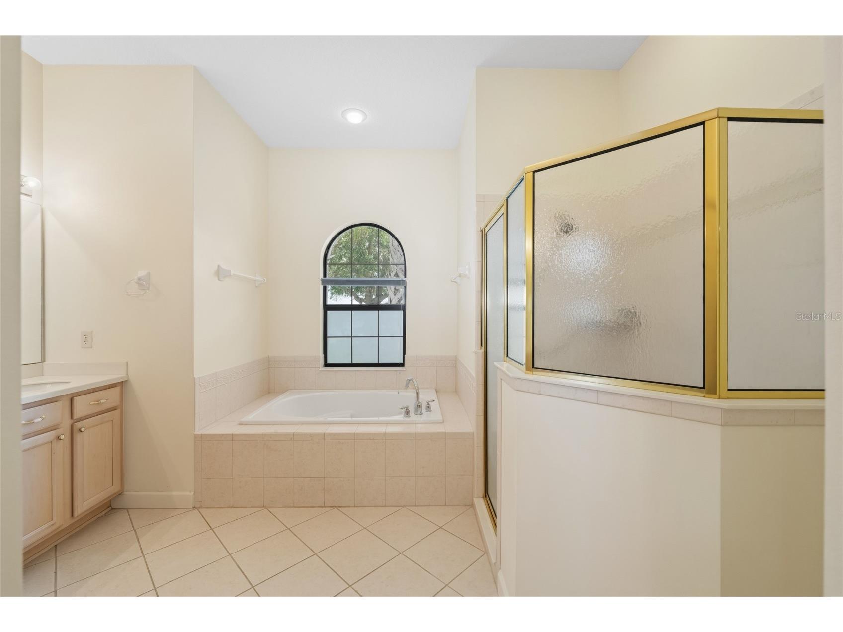 8061 Waterbury Way Mount Dora FL 32757 G5111288 image29