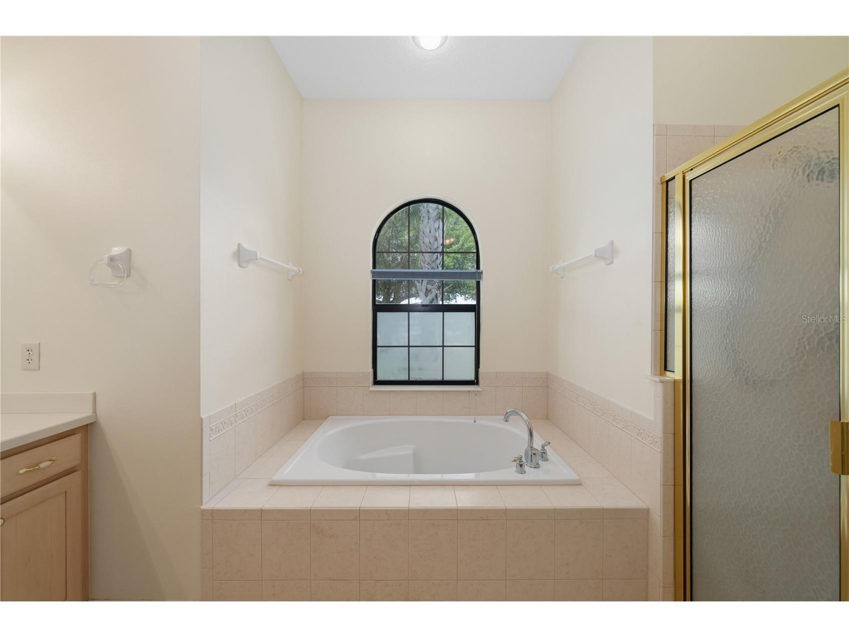 8061 Waterbury Way Mount Dora FL 32757 G5111288 image31