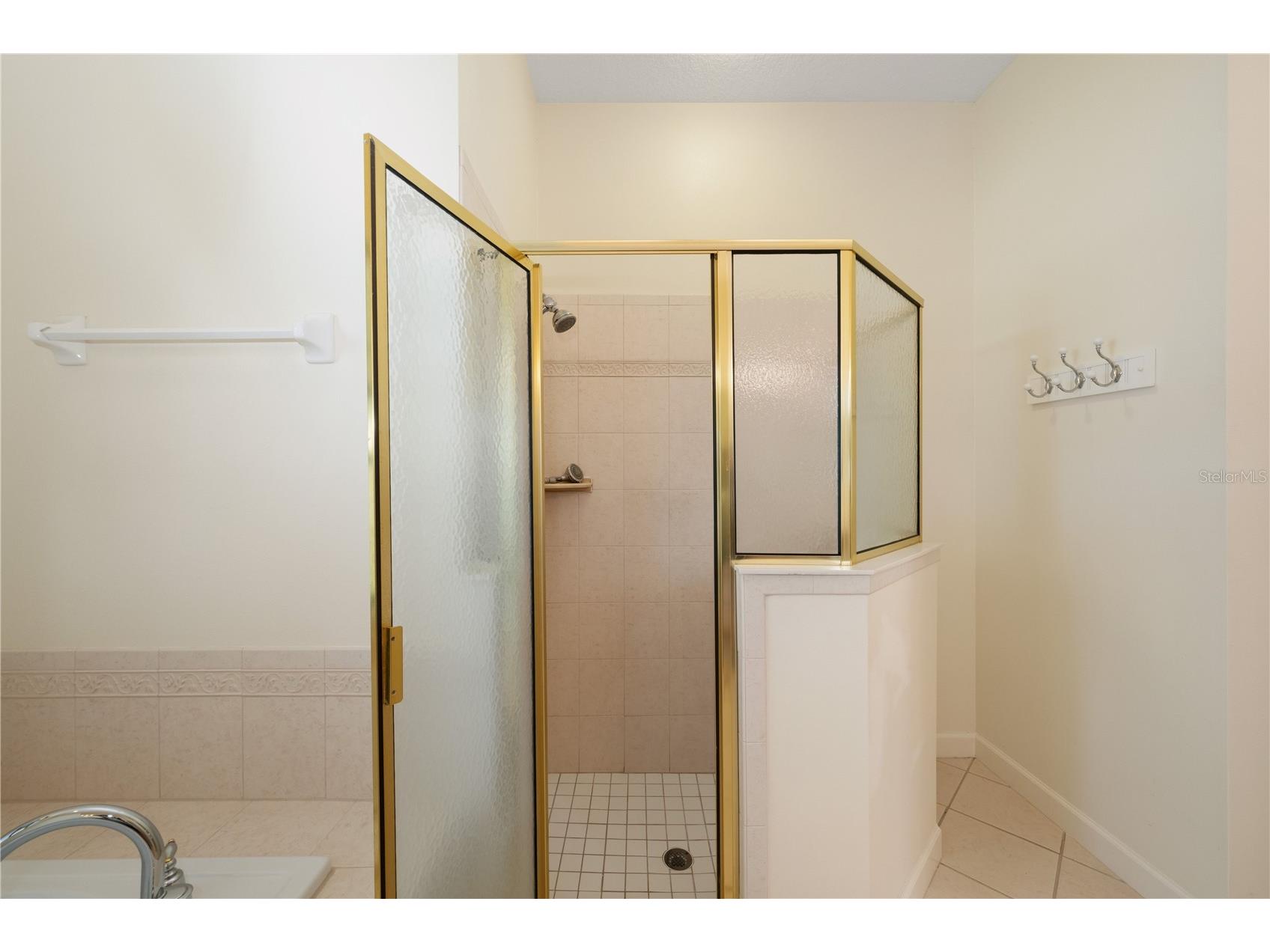 8061 Waterbury Way Mount Dora FL 32757 G5111288 image33