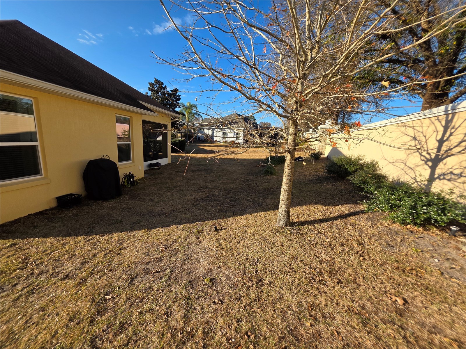 8064 Bridgeport Bay Circle Mount Dora FL 32757 O6382333 image33