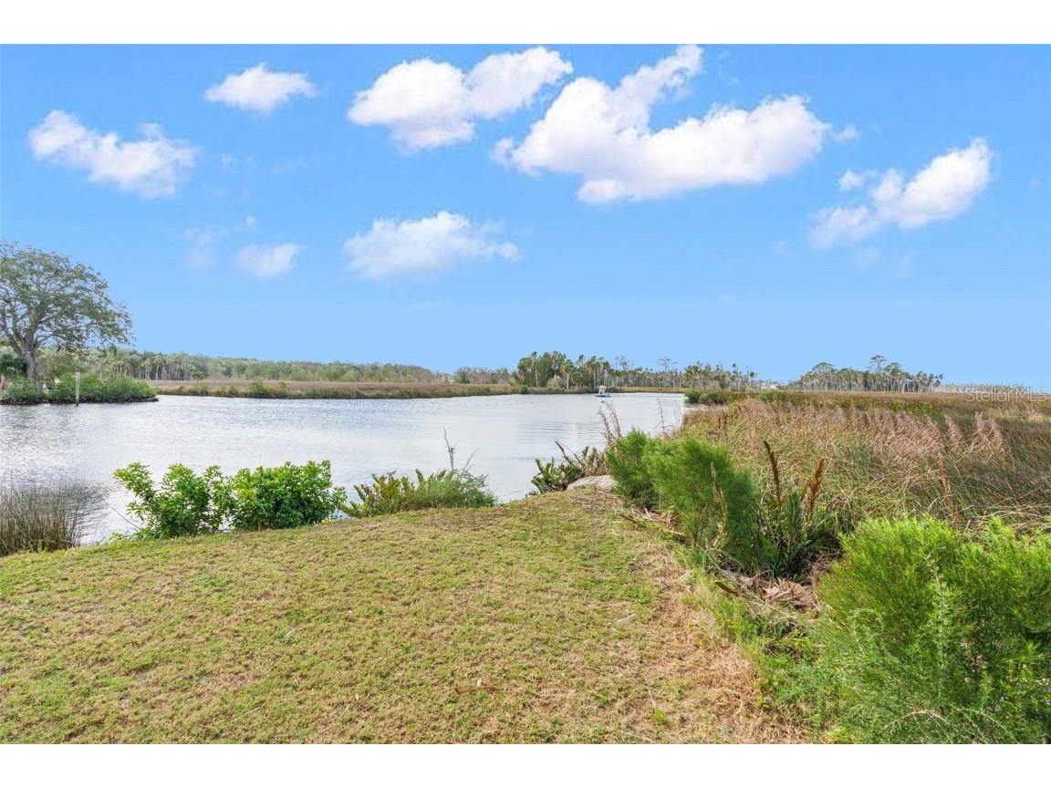 8064 Marys Fish Camp Road Weeki Wachee FL 34607 - MUD RIVER & RIVER HEAD SPRING W7861795 image10